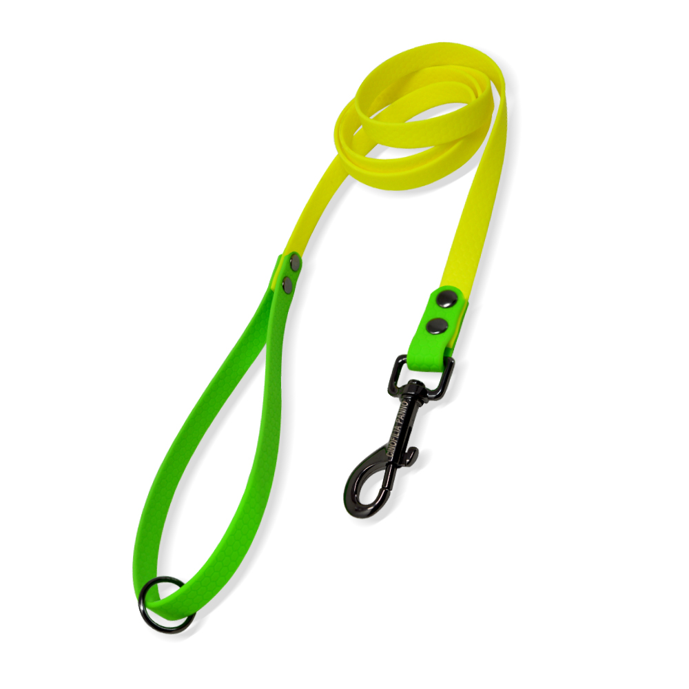 GZ HEXA BICOLORE GIALL_VERDE