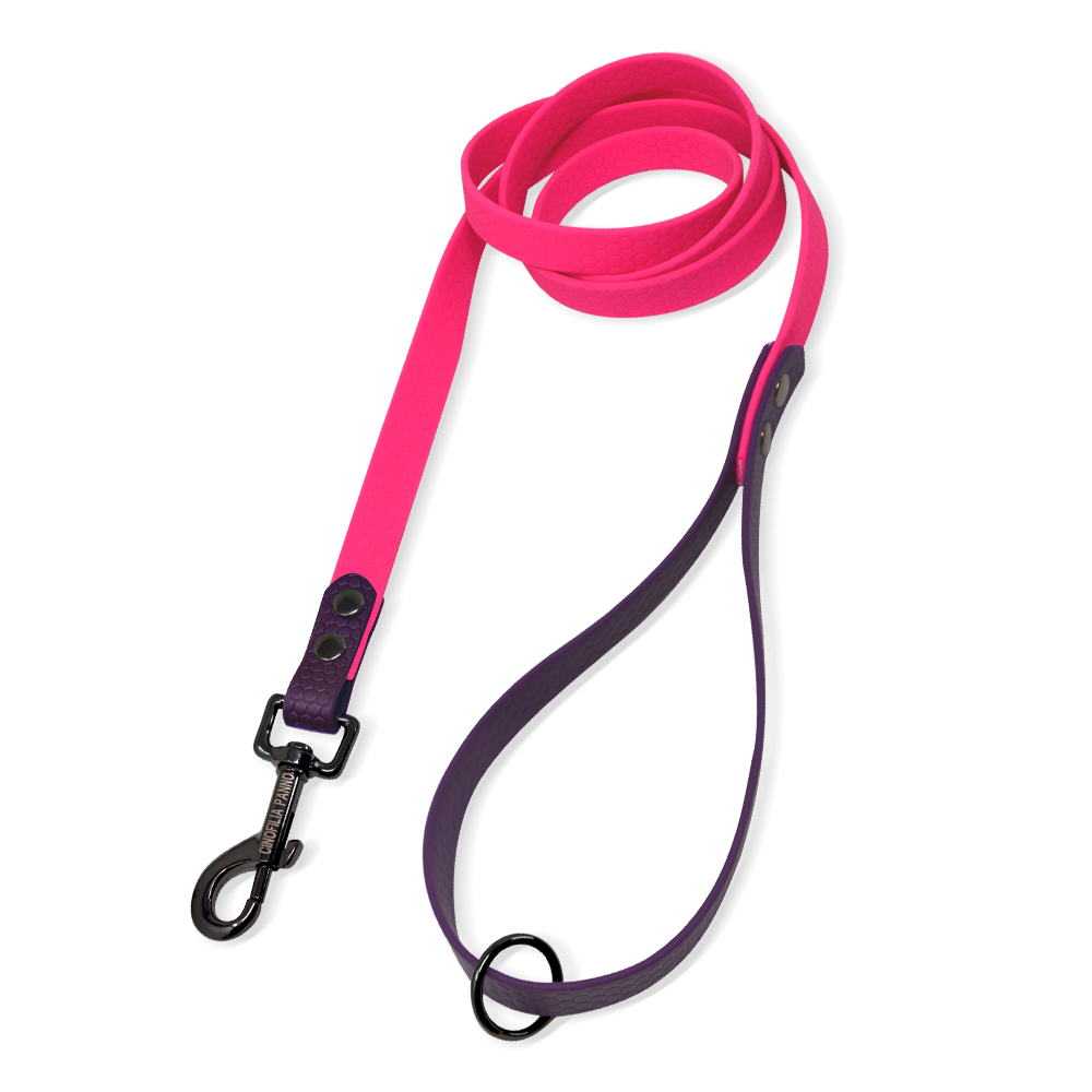 GZ HEXA BICOLORE ROSA_VIOLA