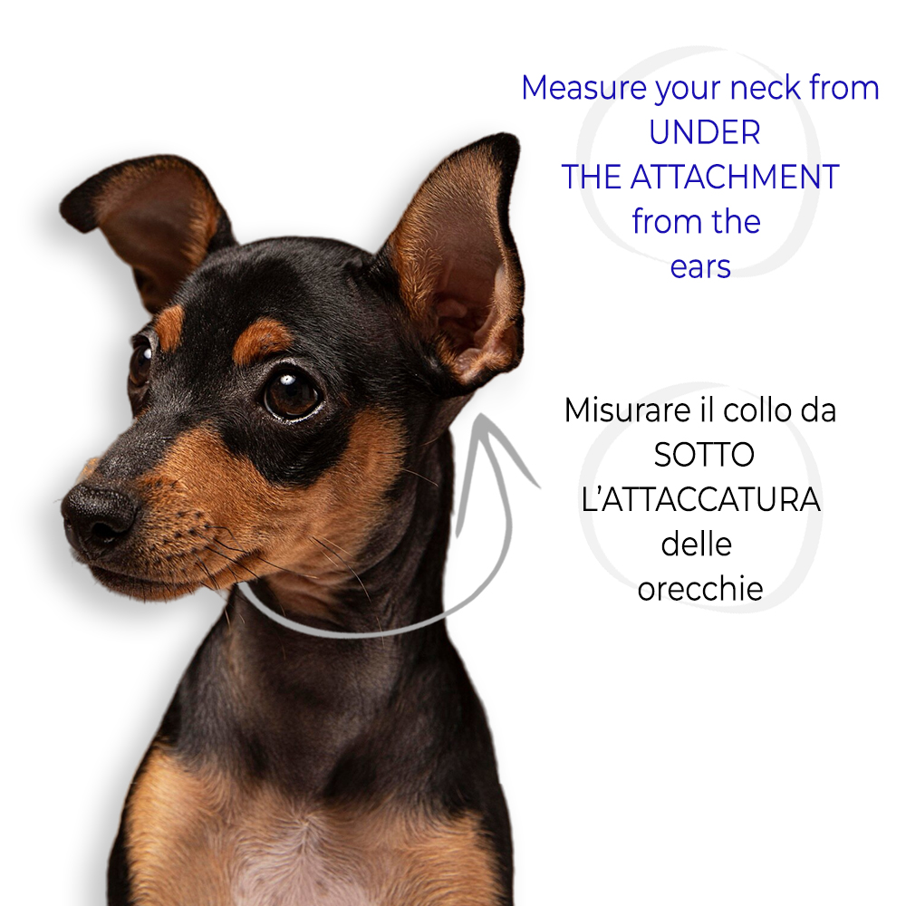 dettaglio di come prendere la misura cordino